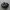 nike jordan photo 1