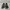 NIKE KYRIE IRVING Basketball Shoes Kids