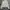 Jacket  crop parasut white photo 1