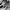 New Balance 990v3 x Teddy Santis Olive Leaf photo 2