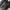 New Balance Fresh Foam x More Trail v3 Full Black photo 2