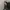 Black tulle mini dress gray fairy gothic y2k acubi grunge  photo 10