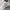 Asics Novablast 4 White Soothing sea photo 2