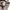 Authentic Vivienne westwood multi blouse photo 5