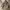 Hoodie HAGt photo 1