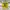 HMNS Unpatched | HMNS Perfume  photo 2