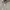 Minimalist Casual Crop top Wanita white photo 3