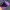 Blank Realtree Hat Purple By Signature