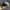 Hat Realtree Blank By Signature photo 1