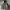 Carhatt Linen Jeket