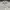 Bitch Skateboard Vintage Streetwear Formal shirt Pria white photo 3