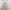 rok cream  photo 1
