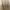 Rok beige Chanel photo 3