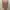Missguided mesh midi long sleeve dress photo 1