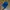 Baseball Verutum Blue photo 1