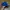 Baseball Verutum Blue photo 4
