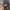 Missoni Luxury Avant Garde Pria green photo 4