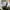 converse chuck high black egret photo 2