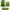 Green Long Dress by Zara photo 1