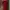 Bodycon Knit Dress Maroon 