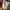 Nike Air Max 270 React Multi-Color