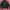 Bristol full zip hoodie photo 4