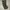 Trousers mens field m65 cargo photo 1