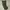 Trousers Mens Field M65 Cargo