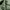 Trousers mens field m65 cargo photo 6
