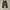 Trousers mens field m65 cargo photo 2