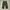 Trousers Mens Field M65 Cargo