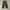 Trousers mens field m65 cargo photo 8