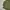 Vintage m65 fishtail parka photo 2