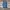 levi's 512 big E jeans long pants #JLLP302 photo 1
