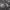 Cosplay Futurist Clutch Wanita black photo 8