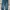 Levi's 511 Denim Long Pants #JLLP287