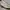 Nike Sportswear Pria gray photo 4