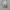 Nike Sportswear Pria gray photo 3