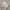 Nike Sportswear Pria gray photo 2