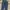 levi’s 501 waterless button fly denim long pants #JLLP281 photo 4