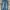 levi’s 505 japan x fenom x cloth denim long pants #JLLP377 photo 2