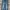 Levi’s 505 Japan X Fenom X Cloth Denim Long Pants #JLLP377