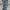 levi’s 207 x fenom jeans long pants #JLLP309 photo 7