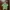 H&M Cotton Polo Shirt Green