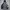 Volcom Singleton Logo Disaster Snowboard Jacket
 photo 1