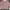 Sweater Knit Pink photo 1