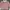 Sweater Knit Pink