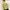 BAYSIC Lime Green Ruched Longsleeved Sheer