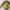 Topi Snapback DC Washington DC Emoji AOP City Hunter photo 5
