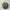 Topi Snapback DC Washington DC Emoji AOP City Hunter photo 4
